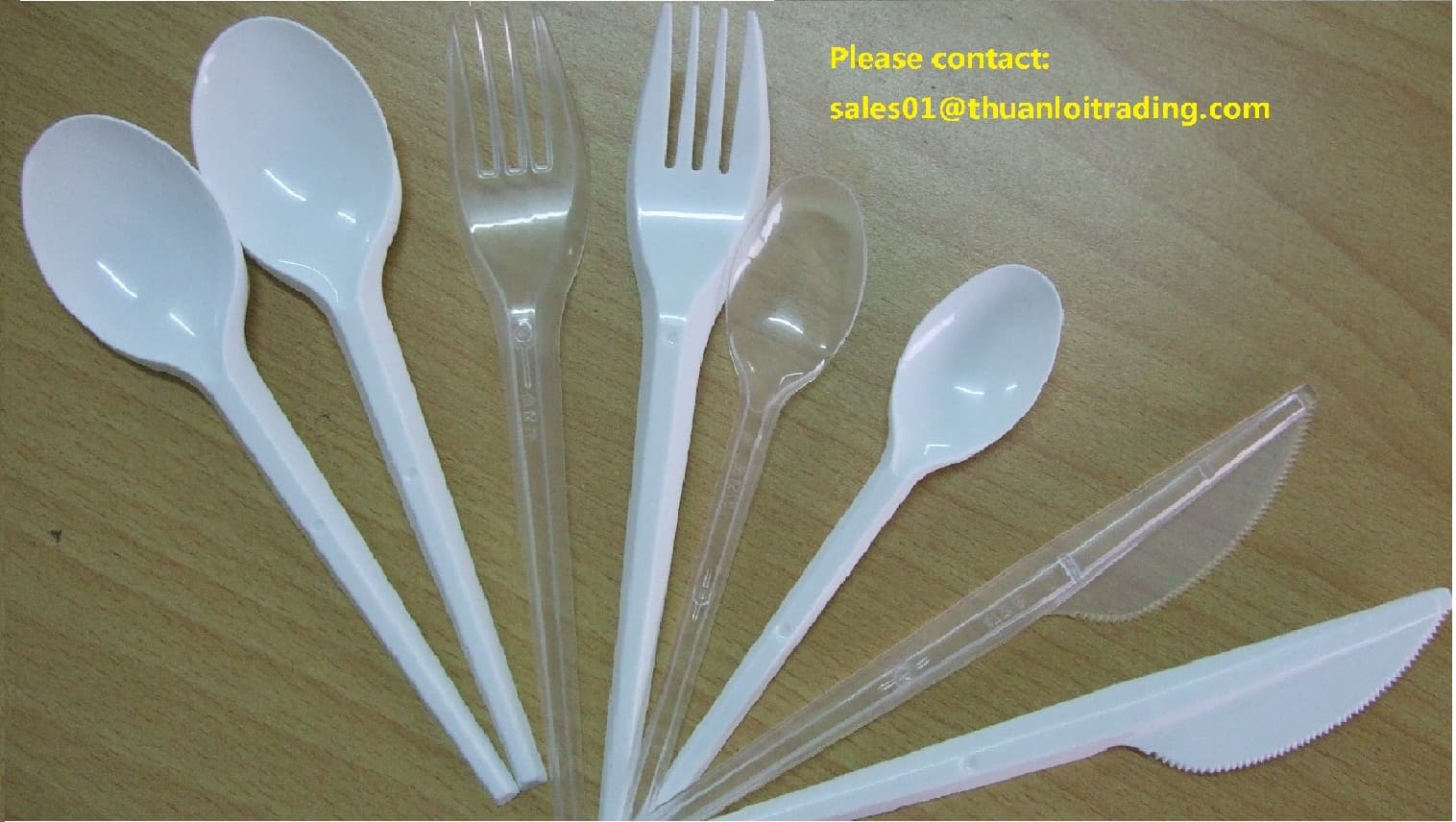 Best Price Disposable PP Plastic Cutlery